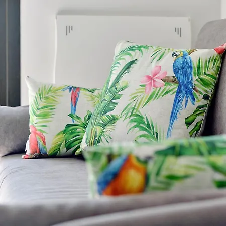 Parrots Apartment Campoamor