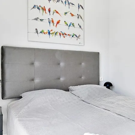 Parrots Apartment *